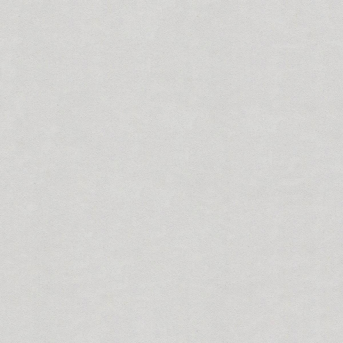 3005