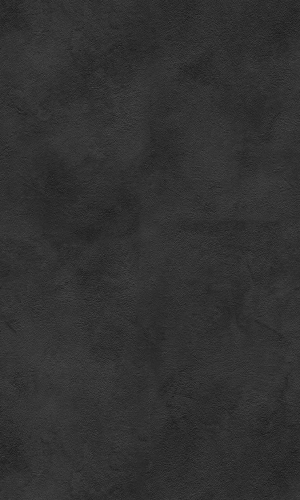 31017